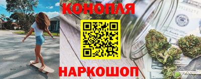 сатива Лесосибирск