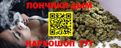 сатива Лесосибирск