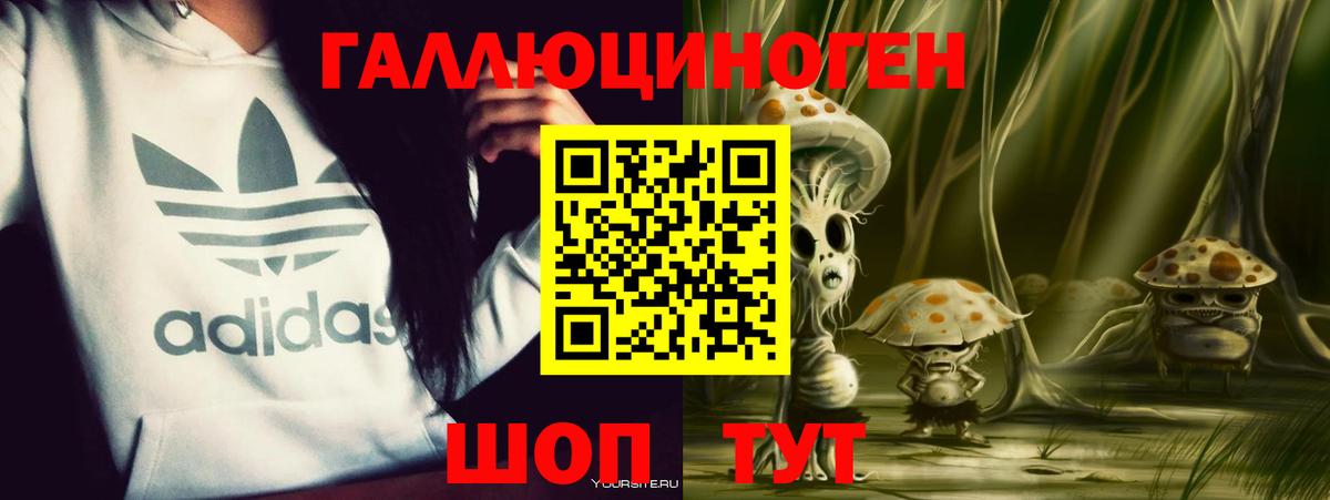 Галлюциногенные грибы Magic Shrooms  Псилоцибиновые грибы Magic Shrooms  Вход с VPN  Чита 